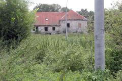 Když dítě zabije, jak se má, kde žije