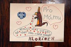 Velický kontra Klokánek