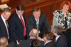 Rok Topolánkovy vlády