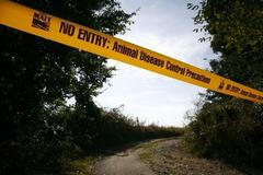 Bluetongue ve Velké Británii