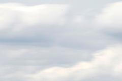 Lewis Hamilton před havárií