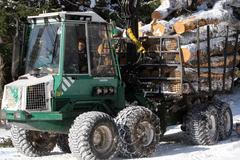 Vichřice v Brdských lesích