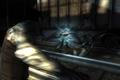 Dark Sector
