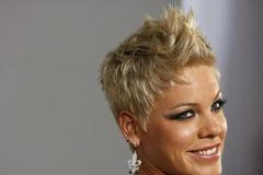 49. ročník Grammy: Pink