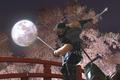 Ninja Gaiden 2