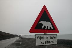 Špicberky - pozor medvěd