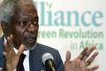 Kofi Annan