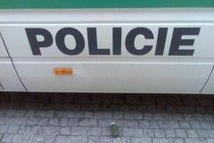 Dělbuch pod policejním vozem