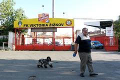 Stadion FK Viktoria Žižkov