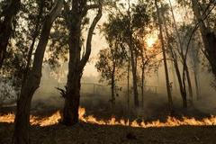 Požár v Kalifornii