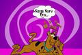 Scooby - Doo