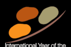 Mezinárodní rok brambory, logo