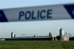 Velká Británie ptačí chřipka