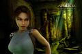 Tomb Raider: Anniversary