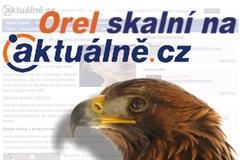 orel na a.cz