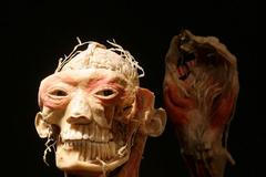 Výstava Bodies v pražské Lucerně