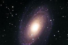 Galaxie M 81