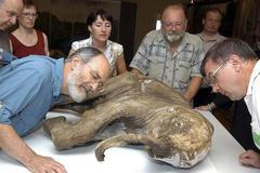 Mamutí mládě Ljuba