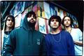 Animal Collective