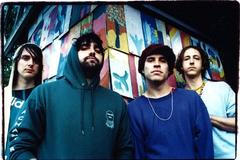 Animal Collective