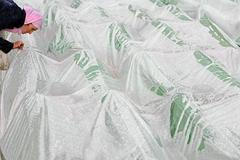 Pohřeb obětí masakru ve Srebrenici