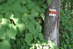 Golfové hřiště v Klánovickém lese