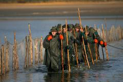 Výlov rybníka Dvořiště poblíž Třeboně
