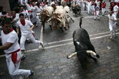 Úprk před býky v Pamploně