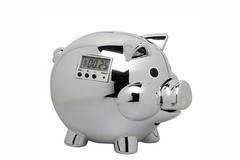 Pig E Bank