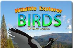 Wildlife Explorer: Birds of America