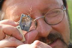 Botanik Jiří Sádlo prohlíží Chundelku přetrhovanou