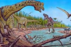 Barevná rekonstrukce