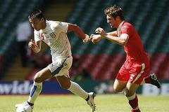 Wales - Česko: Ricketts a Baroš