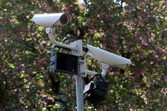 Vila Marna - kamera v zahradě