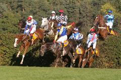 Koně jdou přes Taxisův příkop