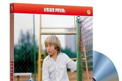 Létající Čestmír