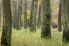 Lužní lesy na soutoku Moravy a Dyje