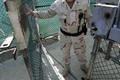 Guantánamo 5