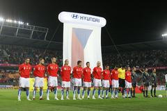 Česko - Irsko: hráči