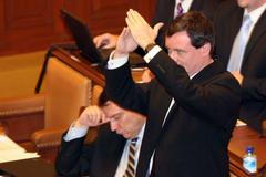 Hlasování o vládě 2007