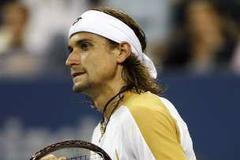 David Ferrer