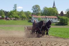 Ekologické vězení