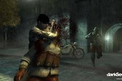 Dark Sector
