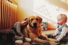 Kojenecký ústav v Plzni