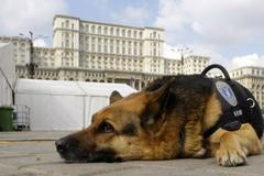 Bukurešť summit NATO Rumunsko