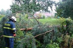 Silný vítr v Královehradeckém kraji