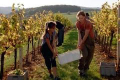 Kryštof Hádek a Tereza Voříšková ve filmu Bobule