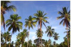 Brazilie, pláž v Itacaré