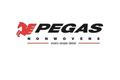 Logo Pegas Nonwovens