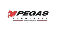 Logo Pegas Nonwovens